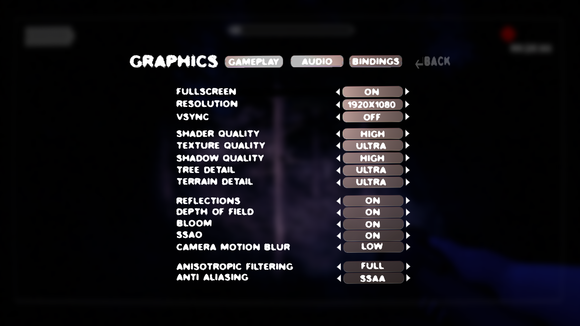 Slender: The Arrival graphics settings