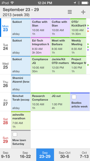 Readdle Calendars 5 iPhone week view