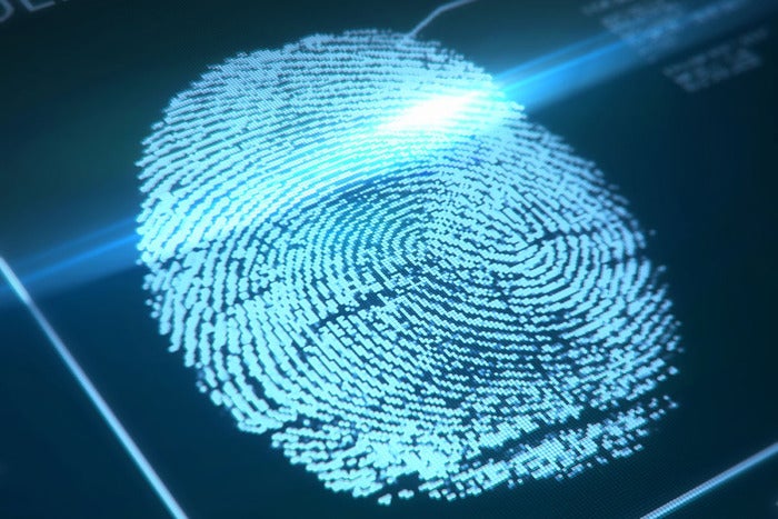 'Canvas Fingerprinting' Online Tracking Is Sneaky But Easy To Halt ...