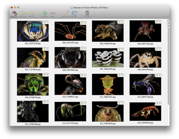 PhotoReviewer thumbnail view