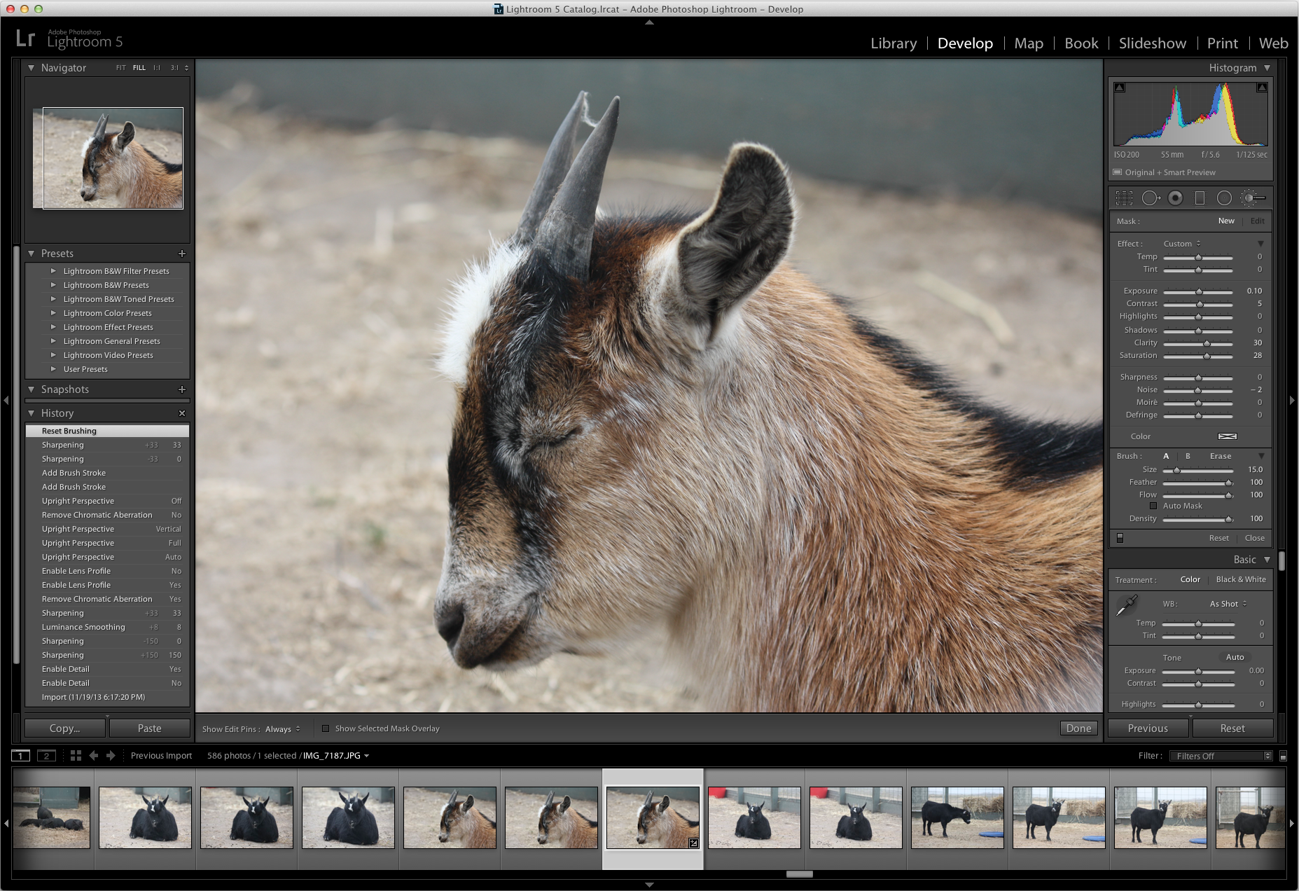 Photoshop Killer App For Mac