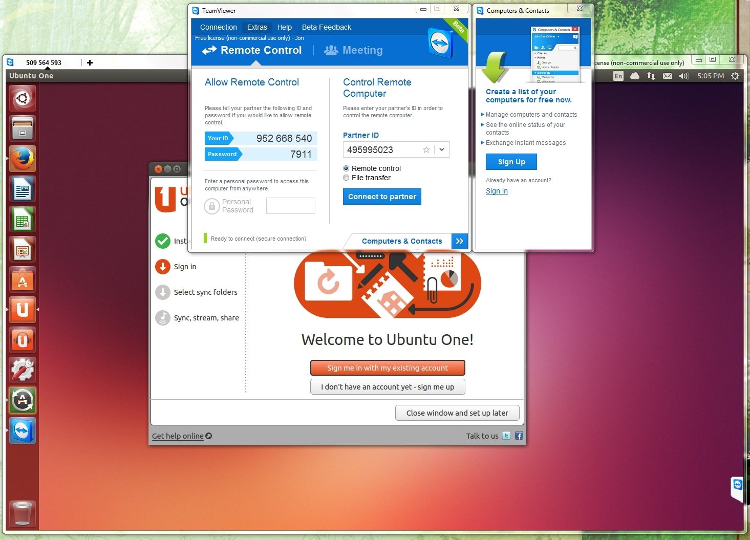 team viewer web client