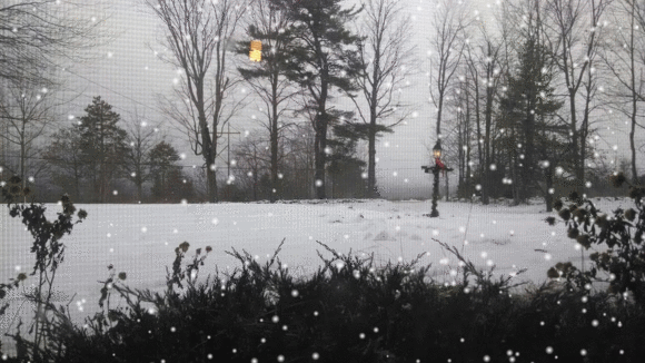 Snowfall Auto Awesome