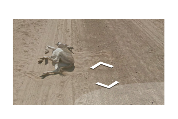 streetviewdonkey