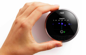 nest hand