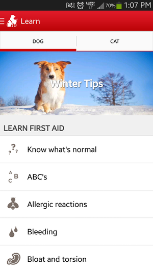 petfirstaid