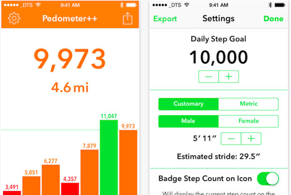 pedometer