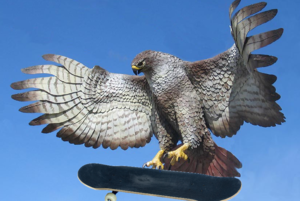 tony hawk