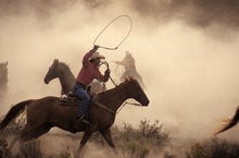 Ride 'em cowboy? Easy does it in IT
