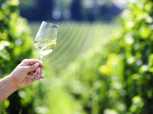 Scaling down: How Joval Wine Group saved on IT costs during COVID-19