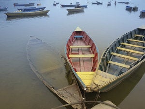 Digital health innovation: Addressing the two-canoe problem