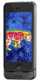 Flir