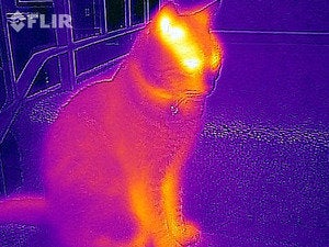 flirone outdooradventures