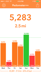 staff picks pedometer