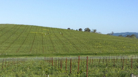 windows xp background real life