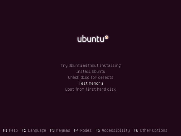 5 boot into memory check