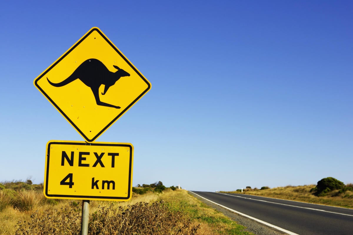 australia victoria great ocean road kangaroo road sign 200403738 001
