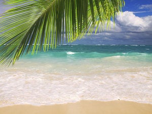 beautiful tropical beach with clear ocean . 166668700