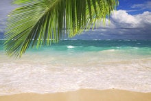 Cross-platform UIs ‘go live’ with .NET MAUI