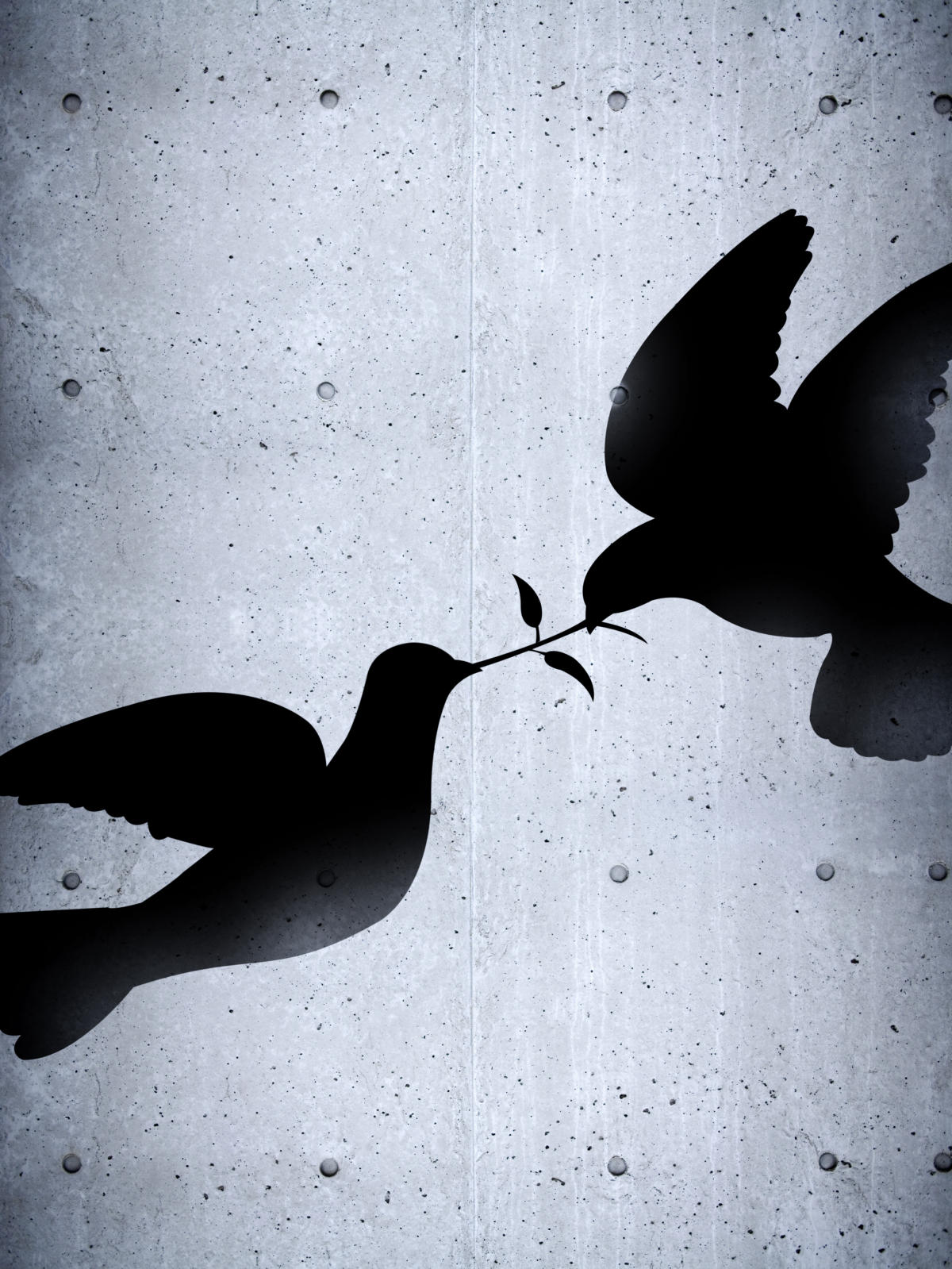 birds fighting on concrete wall 148149885
