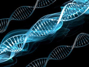 Build digital DNA: Leveraging M&A to reshape the IT workforce