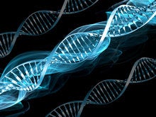Build digital DNA: Leveraging M&A to reshape the IT workforce