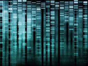 Where to find free and open data sets on the web