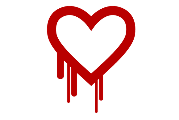heartbleed bug