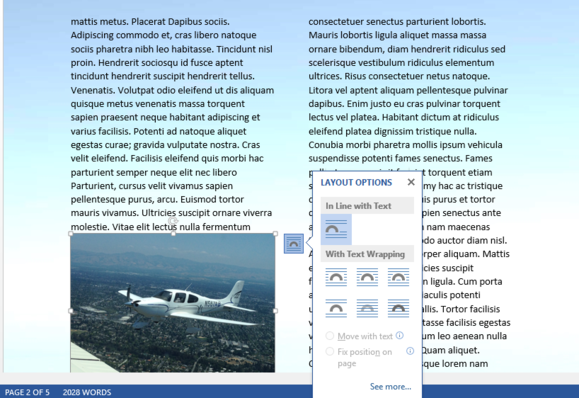 image with layout options