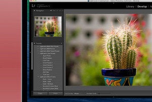 iphotoalternatives primary
