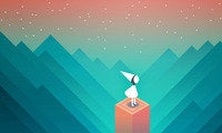 wide banner