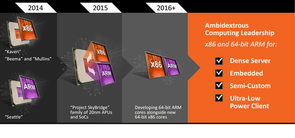 amd skybridge roadmap 2