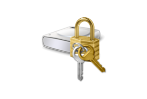 bitlockericonhero