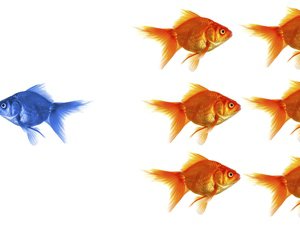 Why few want to be the CIO anymore