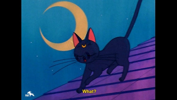 sailor moon luna