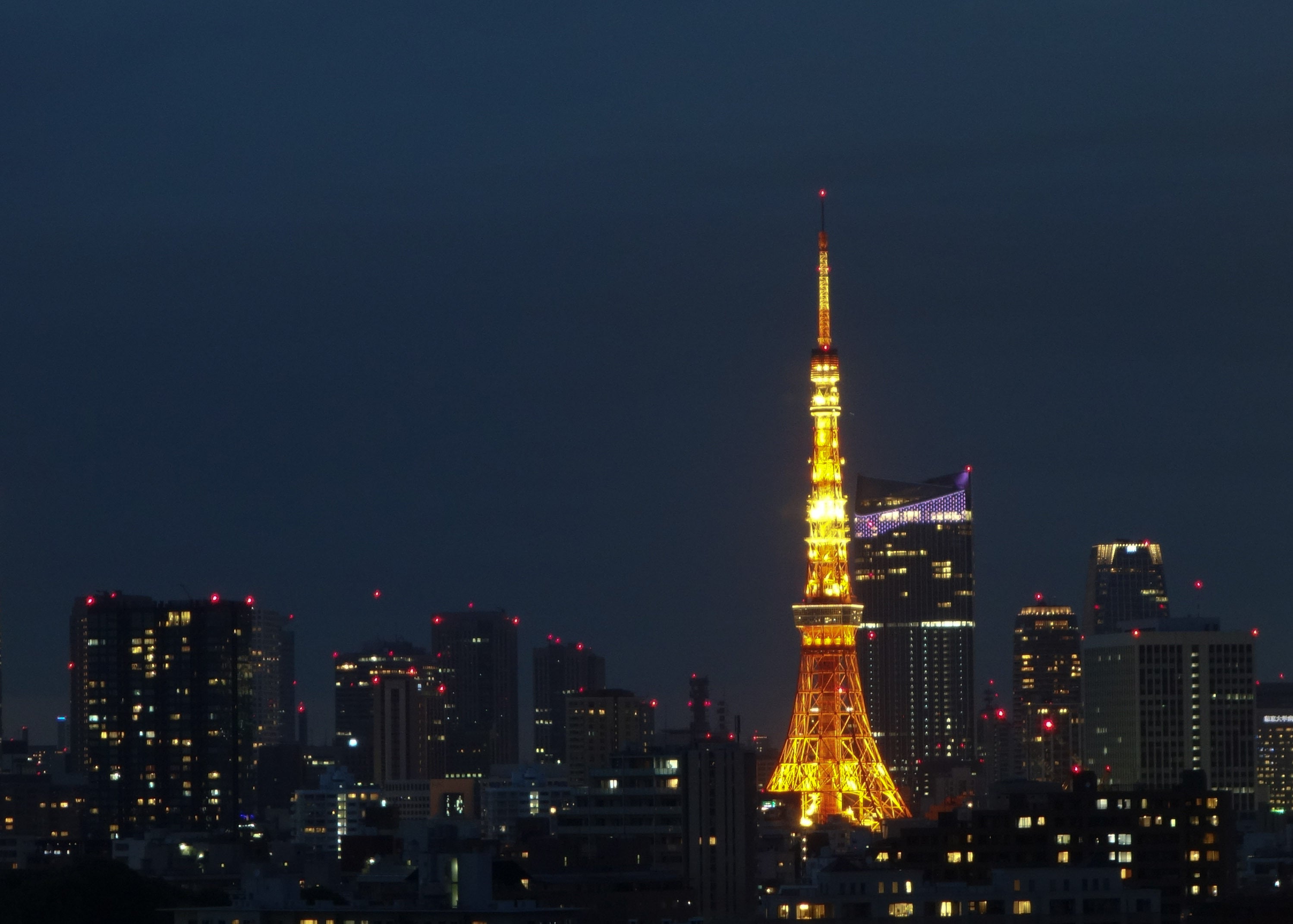 tokyo tower at dusk