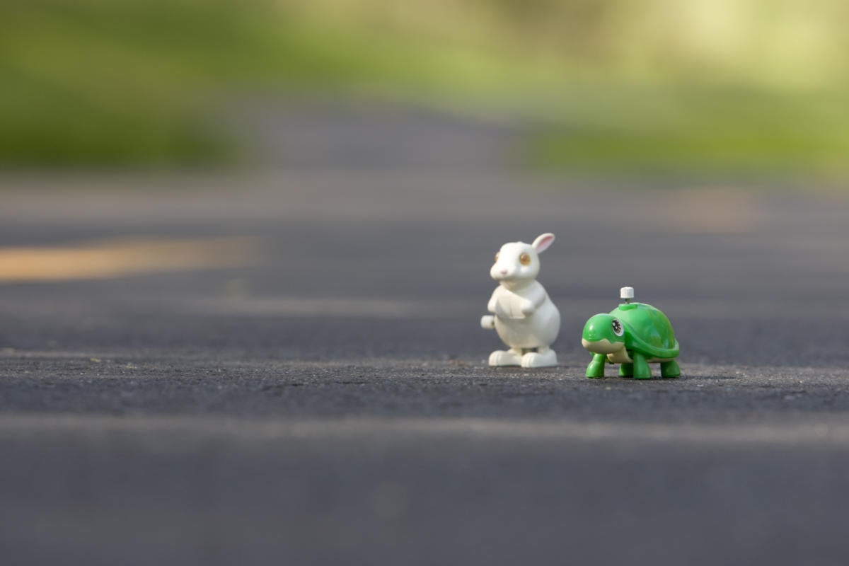 tortoise and the hare 145999344