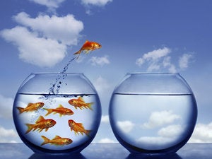 Top enterprise IT companies where people want to work