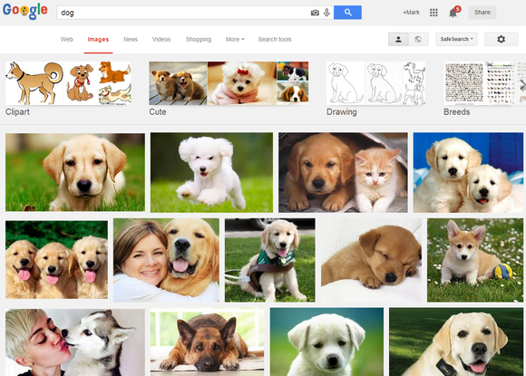 dog google