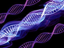 The future of healthcare and humans
