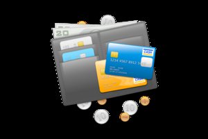 moneydance mac icon wallet credit cards cash