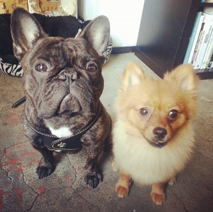 blanka and pom