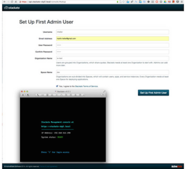 cloud foundry fig3