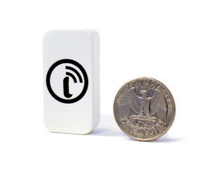 iota white quarter