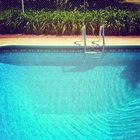 Hip to be square: How to take great cropped photos on your iPhone