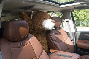 2015 cadillac escalade bear intruder 1
