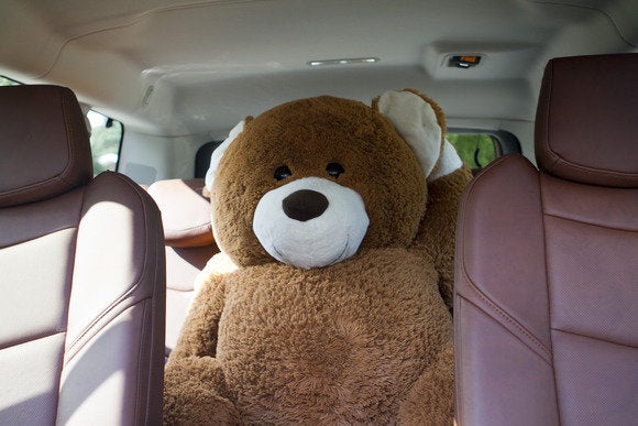 2015 cadillac escalade bear intruder 2
