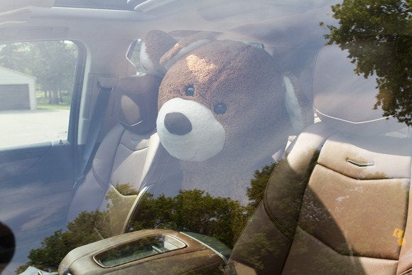 2015 cadillac escalade bear intruder 3