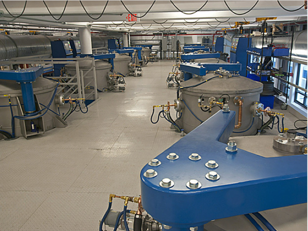 Apple sapphire plant