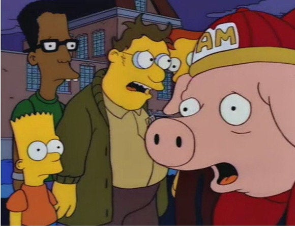simpsons homer college